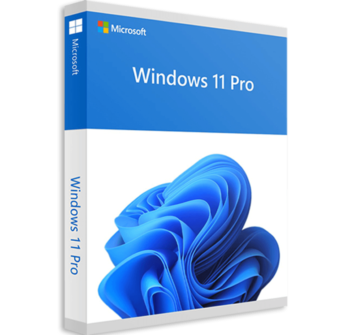 Windows 11 Pro